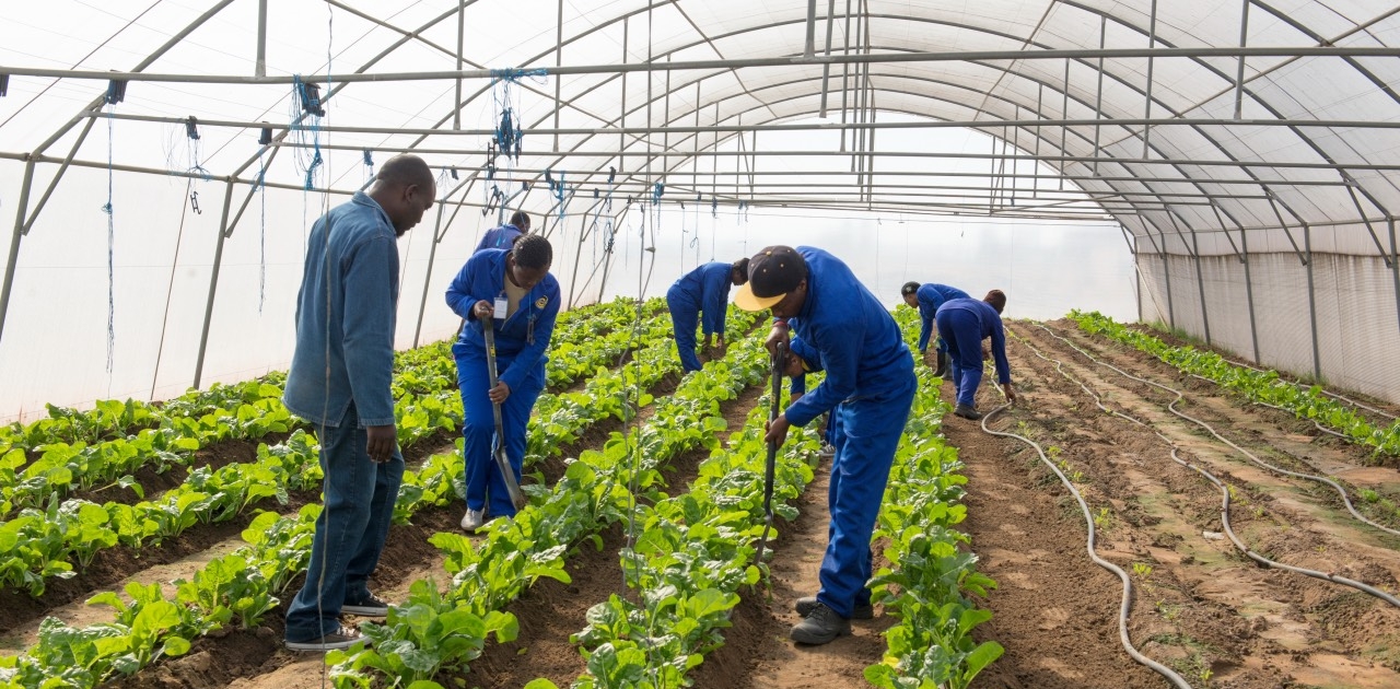 Establish a maintenance plan